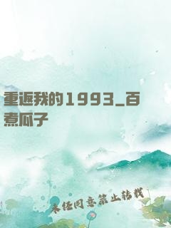 重返我的1993