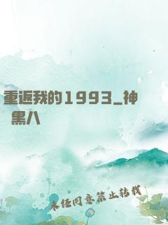 重返我的1993