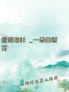 重返洛杉磯