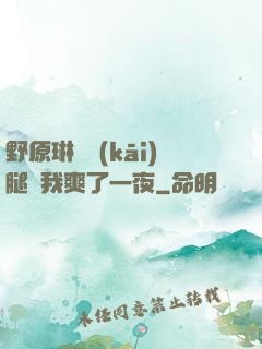 野原琳張開(kāi)腿讓我爽了一夜