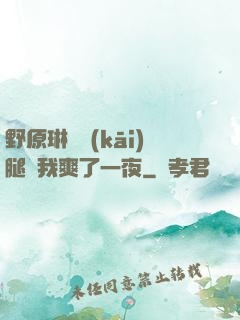 野原琳張開(kāi)腿讓我爽了一夜