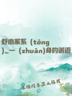 野心家系統(tǒng)