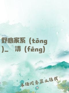 野心家系統(tǒng)