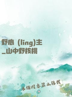 野心領(lǐng)主