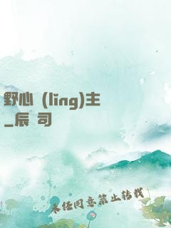 野心領(lǐng)主