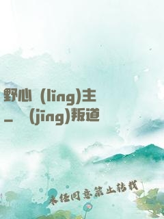 野心領(lǐng)主