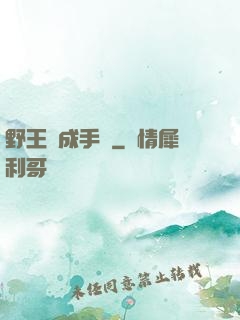 野王煉成手冊