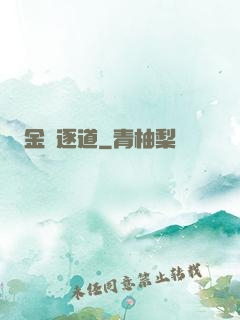 金烏逐道