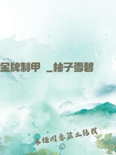金牌制甲師