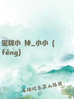 金牌小廚神