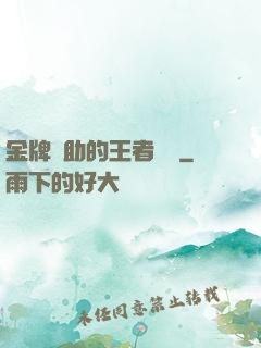 金牌輔助的王者時間