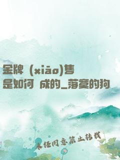 金牌銷(xiāo)售是如何煉成的