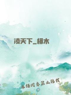 鋒凌天下