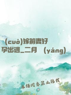 錯(cuò)嫁前妻好孕出逃