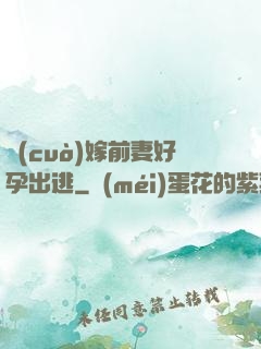 錯(cuò)嫁前妻好孕出逃