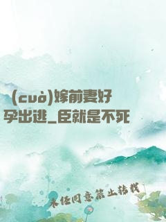 錯(cuò)嫁前妻好孕出逃