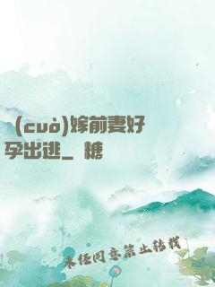 錯(cuò)嫁前妻好孕出逃