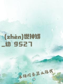 鎮(zhèn)世神婿