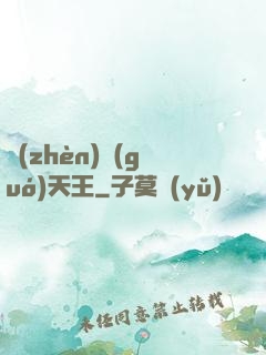 鎮(zhèn)國(guó)天王
