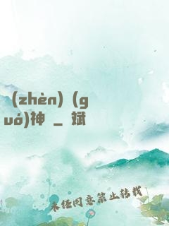 鎮(zhèn)國(guó)神帥