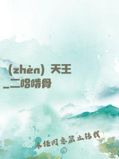 鎮(zhèn)國天王