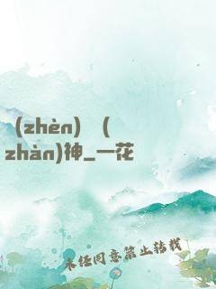 鎮(zhèn)國戰(zhàn)神