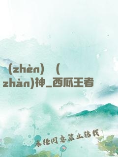 鎮(zhèn)國戰(zhàn)神