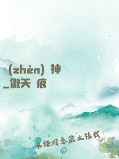 鎮(zhèn)國神帥