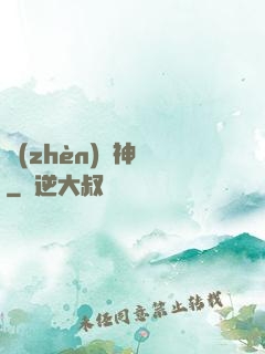 鎮(zhèn)國神帥