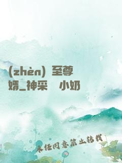 鎮(zhèn)國至尊龍婿