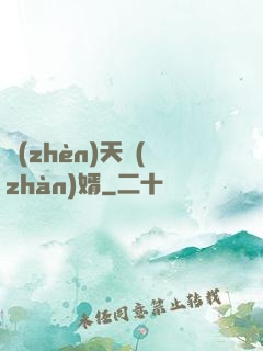 鎮(zhèn)天戰(zhàn)婿