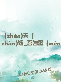 鎮(zhèn)天戰(zhàn)婿