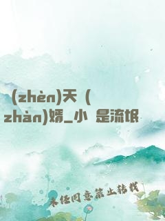 鎮(zhèn)天戰(zhàn)婿