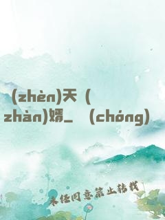 鎮(zhèn)天戰(zhàn)婿