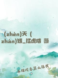 鎮(zhèn)天戰(zhàn)婿