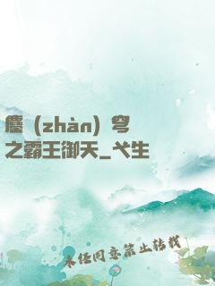 鏖戰(zhàn)蒼穹之霸王御天