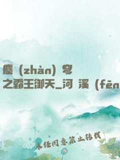 鏖戰(zhàn)蒼穹之霸王御天