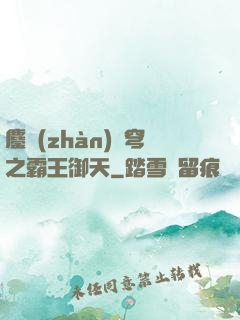 鏖戰(zhàn)蒼穹之霸王御天