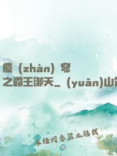 鏖戰(zhàn)蒼穹之霸王御天