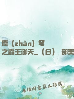 鏖戰(zhàn)蒼穹之霸王御天