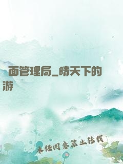 鏡面管理局