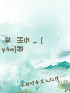 鐵掌無敵王小軍