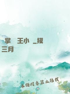 鐵掌無敵王小軍