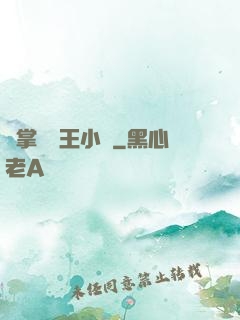 鐵掌無敵王小軍