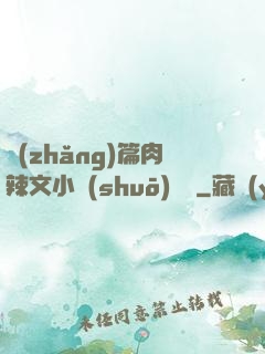 長(zhǎng)篇肉辣文小說(shuō)閱讀