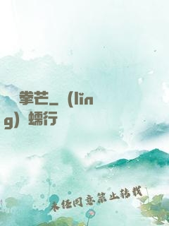 閃爍拳芒