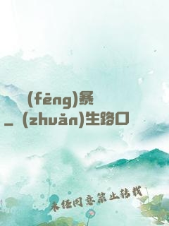 閃電風(fēng)暴