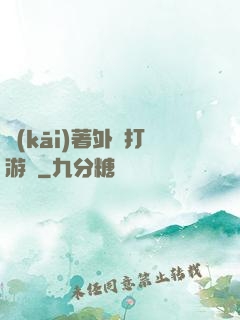 開(kāi)著外掛打游戲