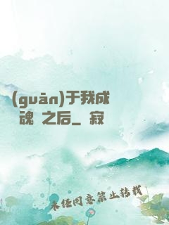 關(guān)于我成為滅魂師之后