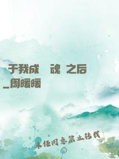 關于我成為滅魂師之后